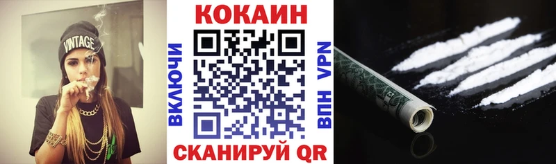 КОКАИН Fish Scale  Купить закладки  Елабуга 