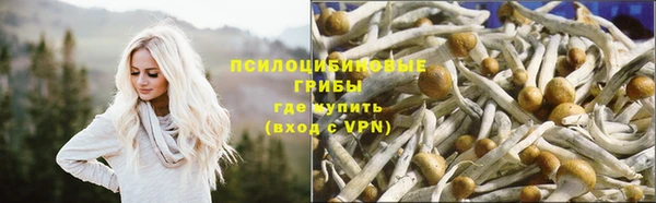 Альфа ПВП Беломорск