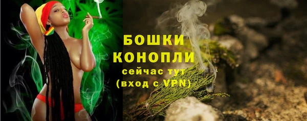 винт Белокуриха