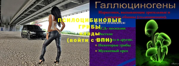 винт Белокуриха