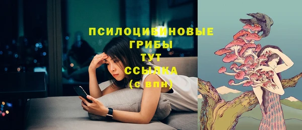Альфа ПВП Беломорск