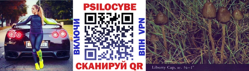 Галлюциногенные грибы Cubensis  Купить где  Елабуга 